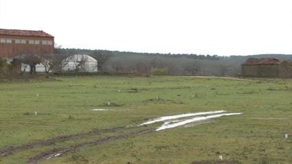 Explotación de la comarca de La Vera, en Extremadura, en enero de 2026