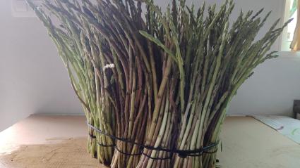 Gran manojo de espárragos trigueros de Quico Reyes (Puebla de la Reina)