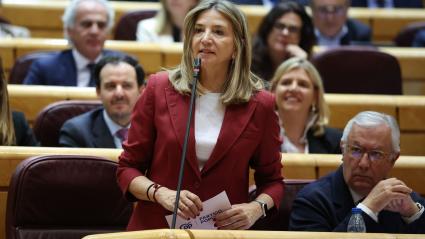 La portavoz del PP en el Senado, Alicia García, interviene durante una sesión plenaria en el Senado, a 17 de marzo de 2026,