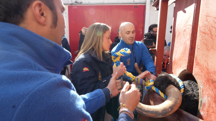 Ensogado Toro Yuncos, Tierra de Toros, Canal Extremadura, Juan Bazaga