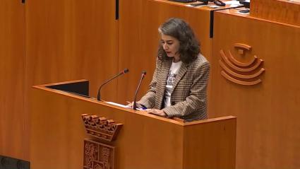 Irene de Miguel, portavoz de Unidas por Extremadura, en la Asamblea de Extremadura