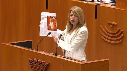 Piedad Álvarez, portavoz del PSOE en la Asamblea de Extremadura