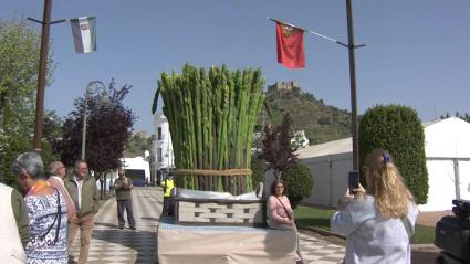 Burguillos del Cerro celebra la Feria del Espárrago