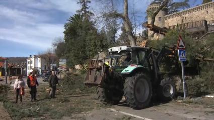 Daños provocados por las borrascas de principios de 2026