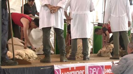 Open de Esquileo celebrado en Castuera