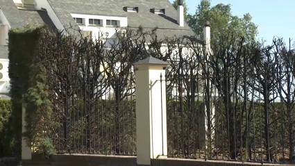 Resultado de un incendio en las Vaguadas en Badajoz