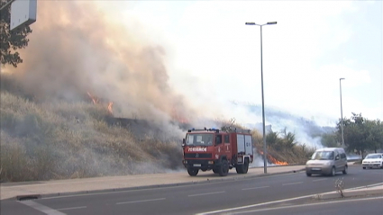 Incendio de pastos en la ladera de la Alcazaba pacense.