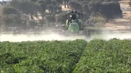 cosechadora trabajando en el campo extremeño