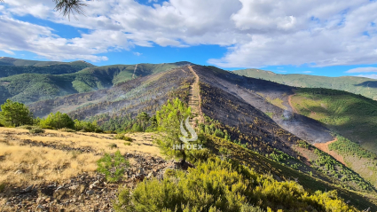 Imagen aérea de la superficie quemada por el incendio