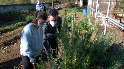 síndrome de down, empleo, inclusión, discapacidad, huerto, jardinería, hortalizas, Cáceres, cultivo, hierbas aromáticas, naturaleza