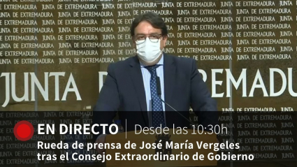 Rueda de prensa de José María Vergeles tras el Consejo de Gobierno