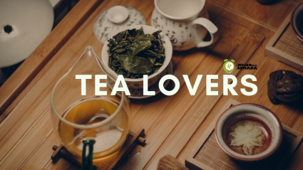 té tazas
