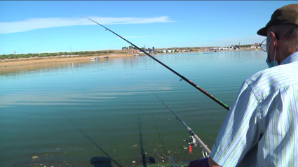 día de pesca en en la charca del casar