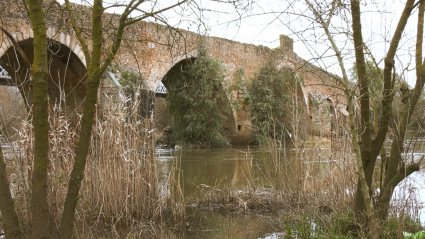 BIC PUENTE CANTILLANA - MUÉVETE