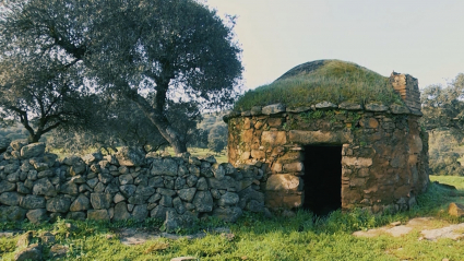 BUJARDAS VALENCIA DEL VCENTOSO - MUÉVETE