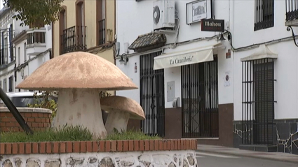 Gurumelo gigante en rotonda