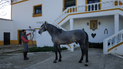 EXTREMADURA A CABALLO