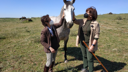 EXTREMADURA A CABALLO