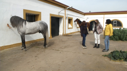 EXTREMADURA A CABALLO