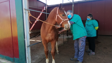 EXTREMADURA A CABALLO