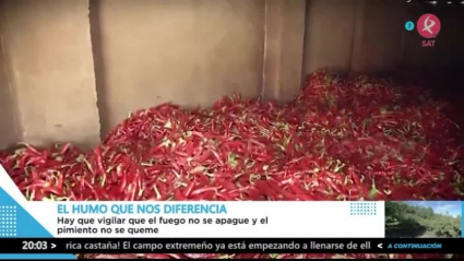 secadero de pimiento en La vera