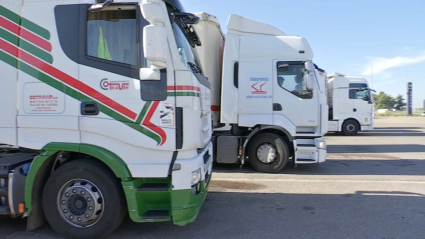 Camiones estacionados en un área de servicio