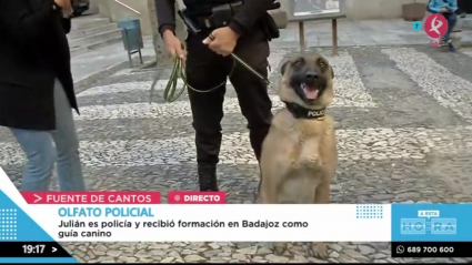 Un perro con mucho olfato policial