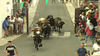 Encierros Moraleja Canal Extremadura Tierra de Toros