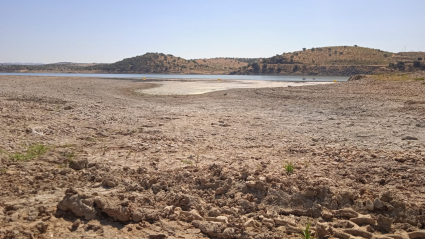 Imagen de la sequía que castiga a la playa de interior de Casas de Don Pedro