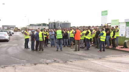Agricultores durante uno de los paros indefinidos en la recogida de aceituna de mesa.