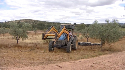 Joven agricultor con tractor en el campo.