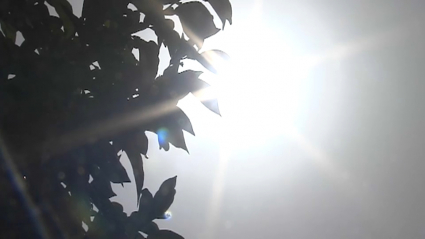 Día de calor en Mérida