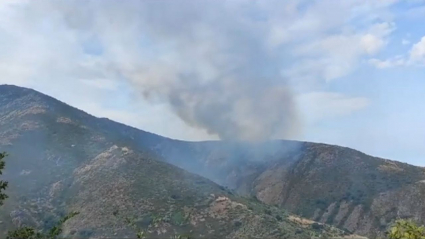 Incendio en Segura de Toro