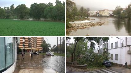 Consecuencias de Aline en Extremadura