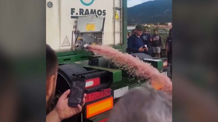 Viticultores franceses
