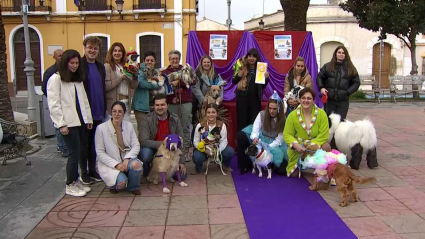 Primer Concurso de mascotas del Carnaval de Puebla de la Calzada