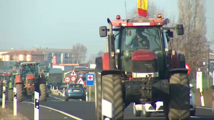 Tractorada en Campiña Sur