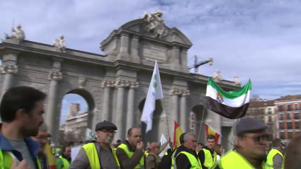 Protesta de agricultores y ganaderos en Madrid