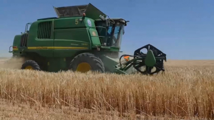 Prohibición de cosechar durante ocho horas en Extremadura