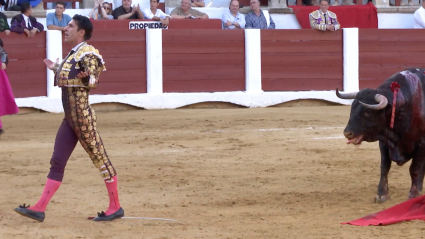 Talavante, Cáceres, Garcigrande, Indulto, Polemica, Pedro Gamero Presidente, Tierra de Toros, Canal Extremadura, Juan Bazaga