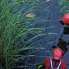 Caja fuerte en el río Guadiana en Badajoz