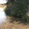 Río Limonetes en Talavera