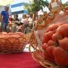 Los tomates, a concurso en Miajadas