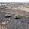 Incendio en Aldea del Obispo