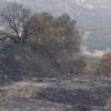 Imagen tras el incendio de Puebla del Maestre