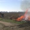 Peligro bajo de incendios