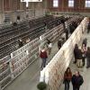 Unas 1.300 aves participarán en el XXVIIl Concurso Ornitológico-Exposición 'Ciudad de Zafra'