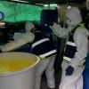 Laboratorio de cocaína desmantelado