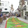 San Vicente de Alcántara supera los 4.000 kilos de viruta de madera para las alfombras de su Corpus Chris