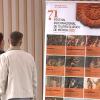 El Festival de Mérida supera las 30.000 entradas en el primer mes de venta